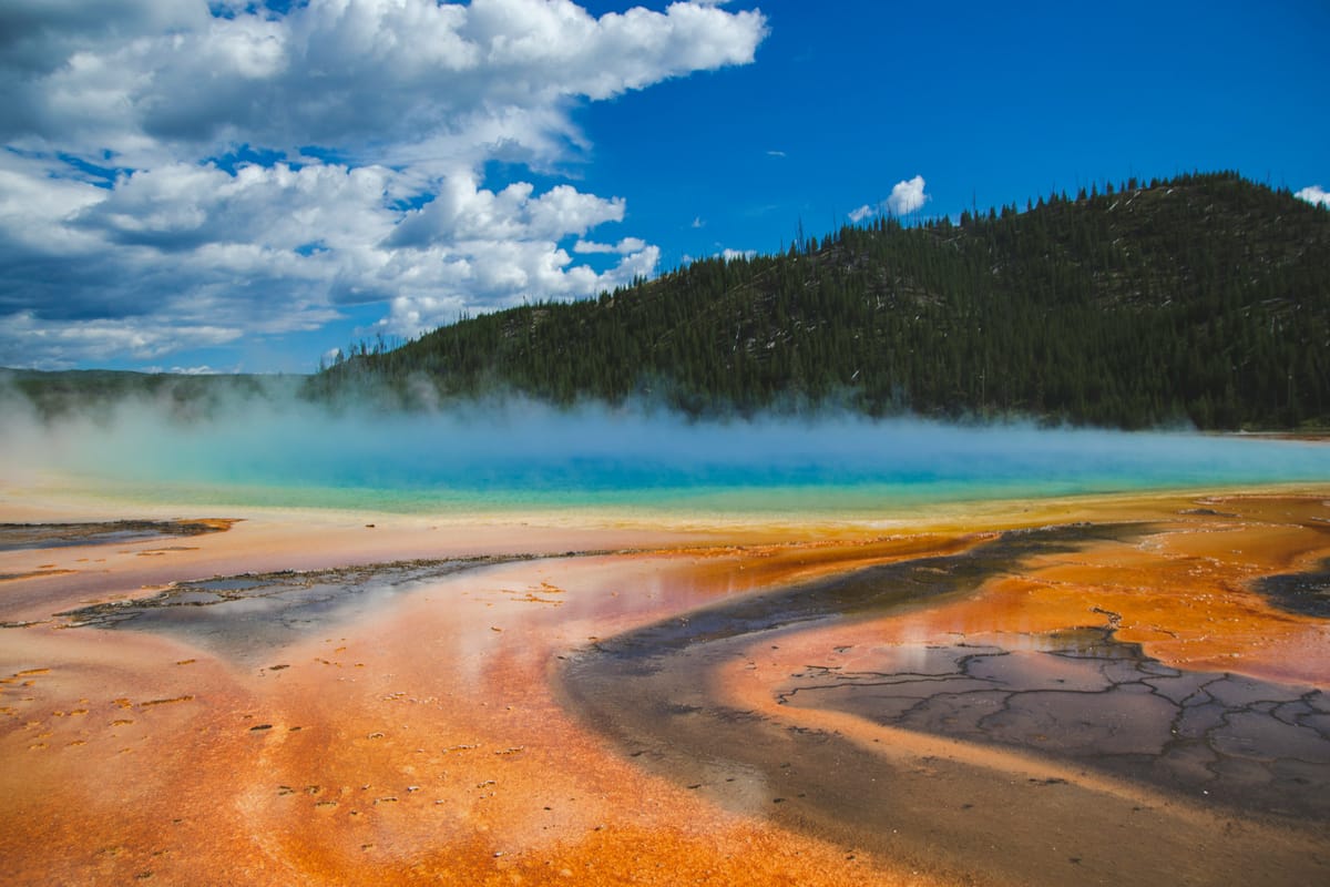 Yellowstone National Park Lodges: The Ultimate Guide (2024)